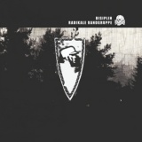 Disiplin - Radikale Randgruppe